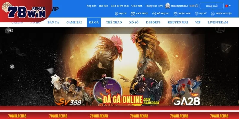78win - Cổng cược trực tuyến siêu hấp dẫn nhất 2025 28 Đá gà online