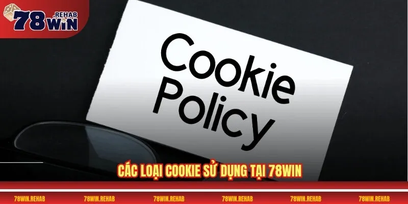 Chính Sách Cookie 78WIN Chi Tiết Và Cách Bảo Mật Dữ Liệu 3 Các loại Cookie sử dụng tại 78WIN