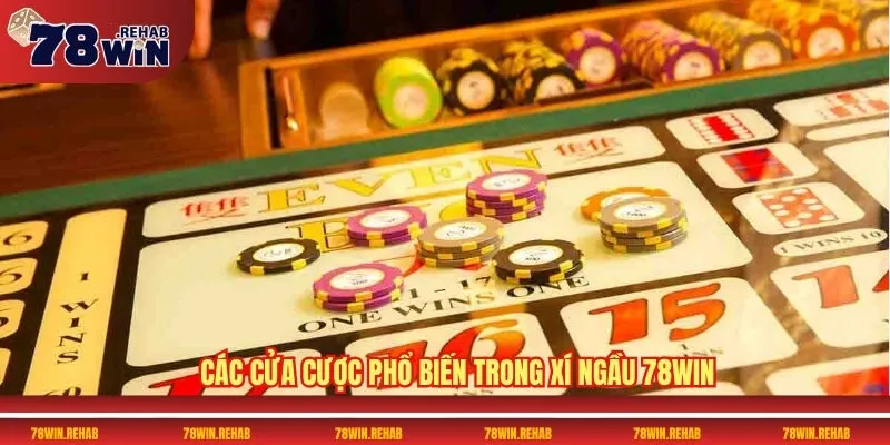 Xí Ngầu 78WIN - Top Chiến Lược Chơi Hay Nhất 2025 3 Các cửa cược phổ biến trong Xí Ngầu 78WIN